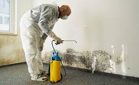 Best Attic Mold Removal  in Oakley, CA